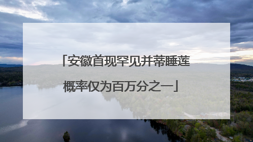 安徽首现罕见并蒂睡莲 概率仅为百万分之一