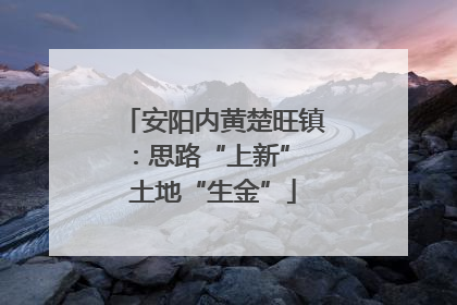 安阳内黄楚旺镇：思路“上新” 土地“生金”
