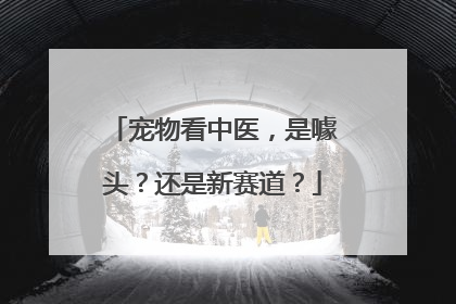 宠物看中医，是噱头？还是新赛道？