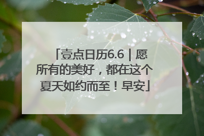壹点日历6.6｜愿所有的美好，都在这个夏天如约而至！早安
