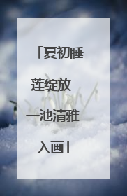 夏初睡莲绽放 一池清雅入画