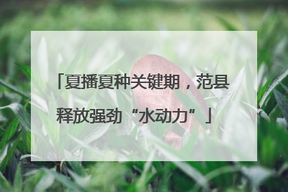 夏播夏种关键期，范县释放强劲“水动力”