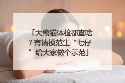 大熊猫体检都查啥？有请模范生“七仔”给大家做个示范