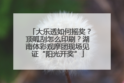 大乐透如何摇奖？顶呱刮怎么印刷？湖南体彩观摩团现场见证“阳光开奖”