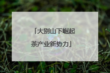 大别山下崛起茶产业新势力