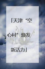 天津“空心村”焕发新活力