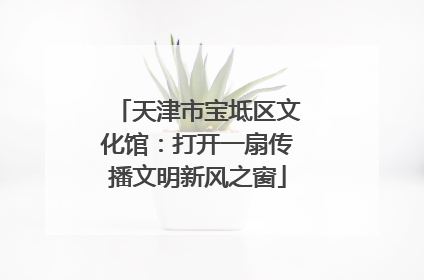 天津市宝坻区文化馆：打开一扇传播文明新风之窗