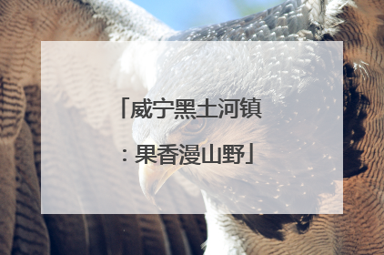 威宁黑土河镇：果香漫山野