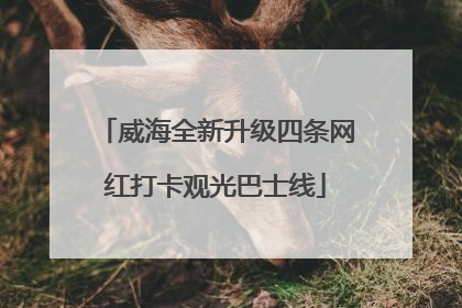 威海全新升级四条网红打卡观光巴士线