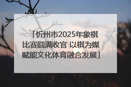 忻州市2025年象棋比赛圆满收官 以棋为媒赋能文化体育融合发展