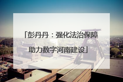 彭丹丹：强化法治保障 助力数字河南建设