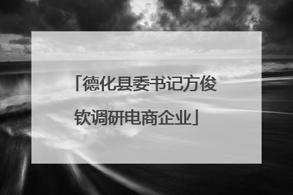 德化县委书记方俊钦调研电商企业