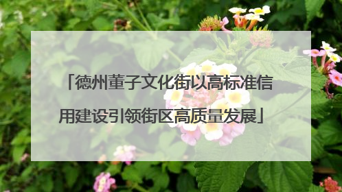 德州董子文化街以高标准信用建设引领街区高质量发展