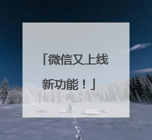 微信又上线新功能！