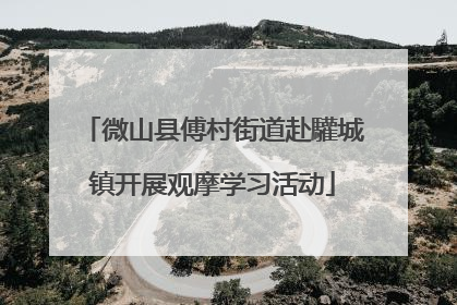 微山县傅村街道赴驩城镇开展观摩学习活动