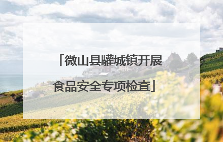 微山县驩城镇开展食品安全专项检查