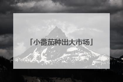小番茄种出大市场