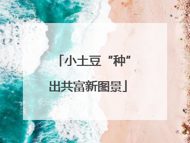 小土豆“种”出共富新图景