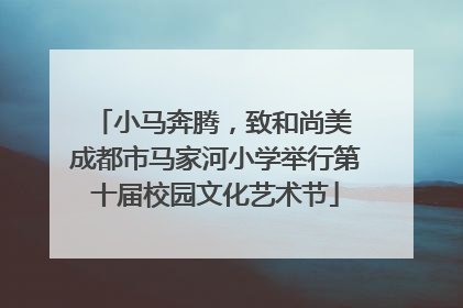 小马奔腾，致和尚美 成都市马家河小学举行第十届校园文化艺术节
