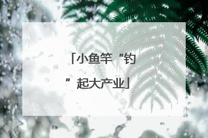 小鱼竿“钓”起大产业