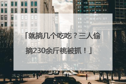 就摘几个吃吃？三人偷摘230余斤桃被抓！