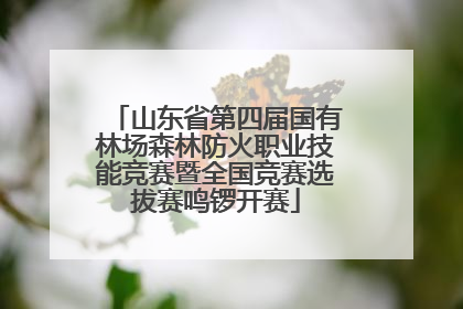 山东省第四届国有林场森林防火职业技能竞赛暨全国竞赛选拔赛鸣锣开赛