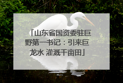 山东省国资委驻巨野第一书记：引来巨龙水 灌溉千亩田