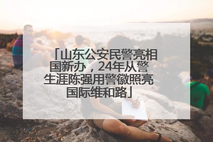 山东公安民警亮相国新办，24年从警生涯陈强用警徽照亮国际维和路