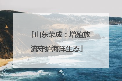 山东荣成：增殖放流守护海洋生态