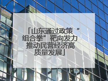 山东通过政策“组合拳”靶向发力 推动民营经济高质量发展