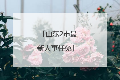 山东2市最新人事任免