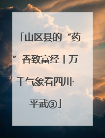 山区县的“药”香致富经丨万千气象看四川·平武③