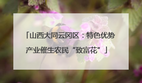 山西大同云冈区：特色优势产业催生农民“致富花”