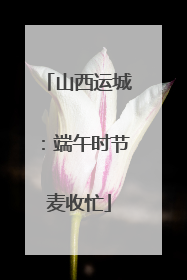 山西运城：端午时节麦收忙