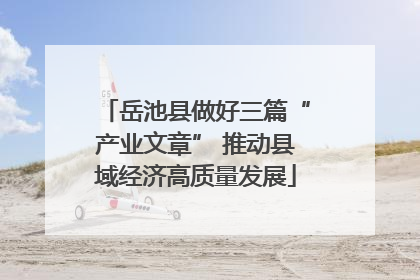 岳池县做好三篇“产业文章” 推动县域经济高质量发展