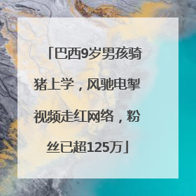 巴西9岁男孩骑猪上学，风驰电掣视频走红网络，粉丝已超125万