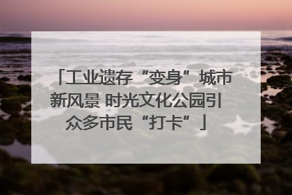 工业遗存“变身”城市新风景 时光文化公园引众多市民“打卡”