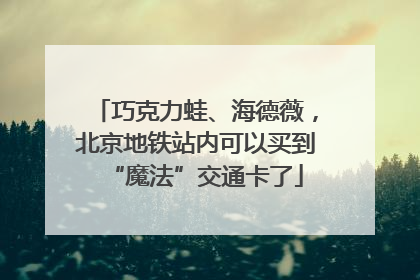 巧克力蛙、海德薇，北京地铁站内可以买到“魔法”交通卡了