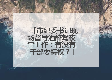 市纪委书记现场督导酒醉驾夜查工作：有没有干部耍特权？