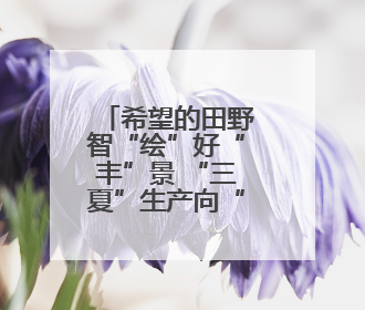 希望的田野智“绘”好“丰”景 “三夏”生产向“新”而行