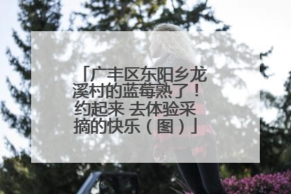 广丰区东阳乡龙溪村的蓝莓熟了！约起来 去体验采摘的快乐（图）