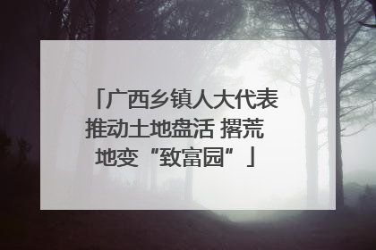 广西乡镇人大代表推动土地盘活 撂荒地变“致富园”
