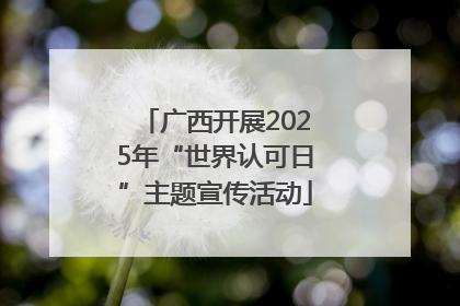 广西开展2025年“世界认可日”主题宣传活动