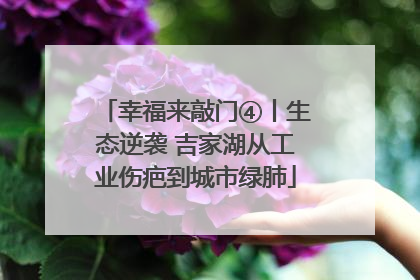 幸福来敲门④丨生态逆袭 吉家湖从工业伤疤到城市绿肺