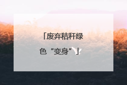 废弃秸秆绿色“变身”