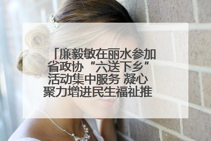 廉毅敏在丽水参加省政协“六送下乡”活动集中服务 凝心聚力增进民生福祉推进共同富裕