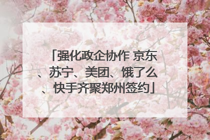 强化政企协作 京东、苏宁、美团、饿了么、快手齐聚郑州签约
