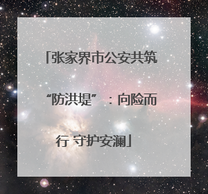 张家界市公安共筑“防洪堤”：向险而行 守护安澜