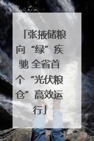 张掖储粮向“绿”疾驰 全省首个“光伏粮仓”高效运行