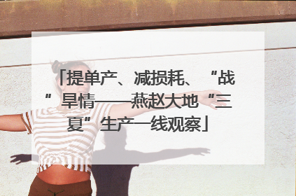 提单产、减损耗、“战”旱情——燕赵大地“三夏”生产一线观察